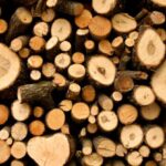 Resources - Firewood Lot