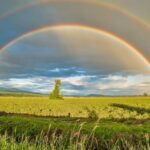 DAC - Crop Field Under Rainbow and Cloudy Skies at Dayime