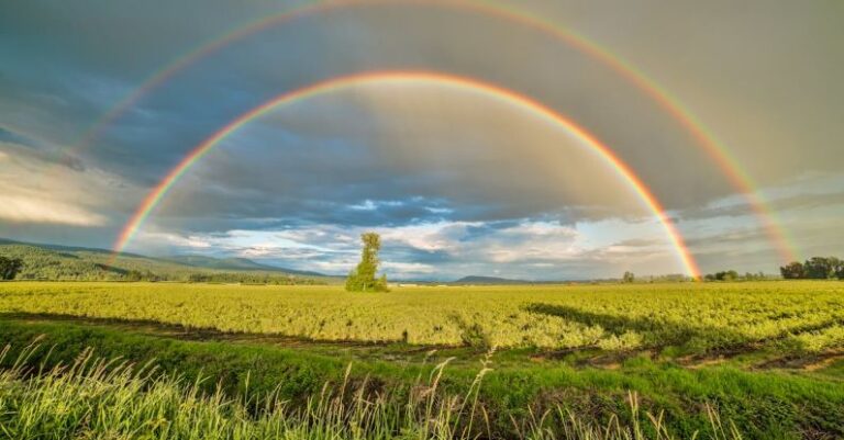 DAC - Crop Field Under Rainbow and Cloudy Skies at Dayime