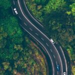 System - Aerial View of Road in the Middle of Trees