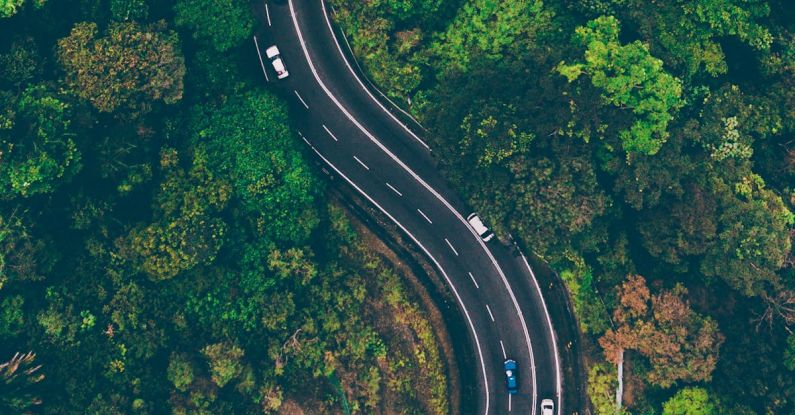 System - Aerial View of Road in the Middle of Trees